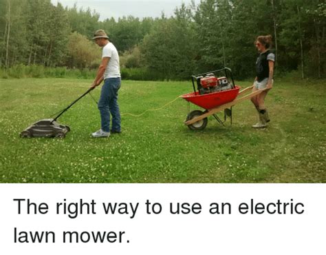 50+ Amusing, Entertaining and Down Right Best Lawn Care, Landscaping,