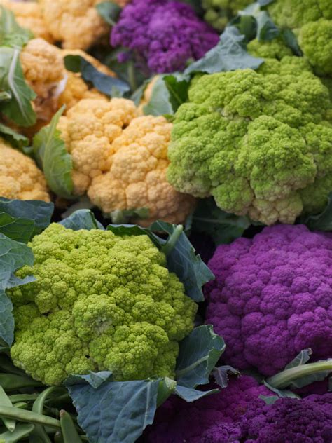 6 Tips for Growing Cauliflower in Mediterranean Climates