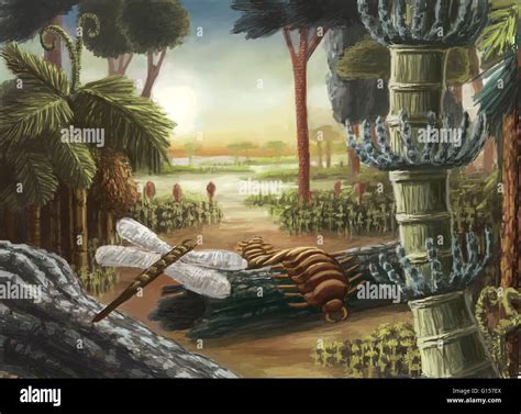 Carboniferous landscape drawing. The Carboniferous period extended from 345 to 280 million years ...