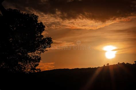 Sunset Silhouette Mountain Trees Stock Photo - Image of silhouette ...