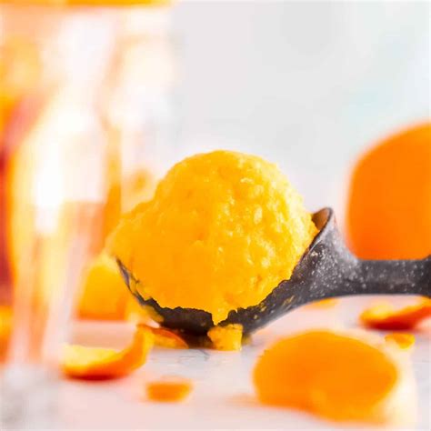 1 Ingredient Tangerine Sorbet Recipe