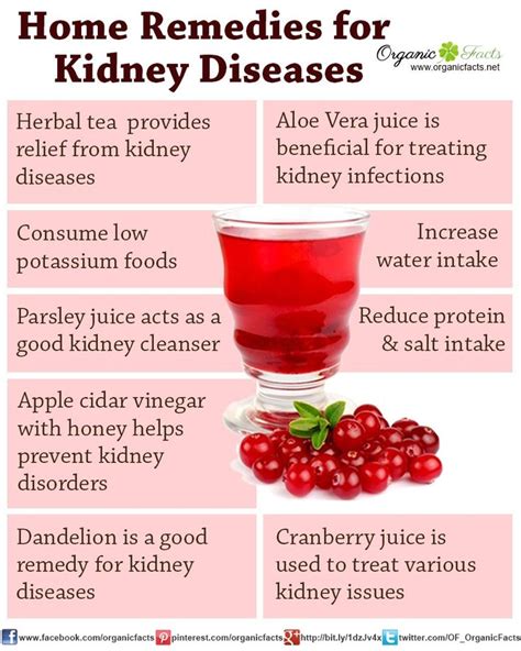 104 best KIDNEY's images on Pinterest