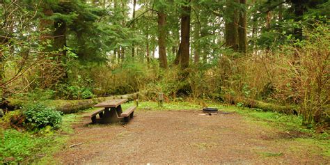 Mora Campground - Olympic National Park - camping in Washington