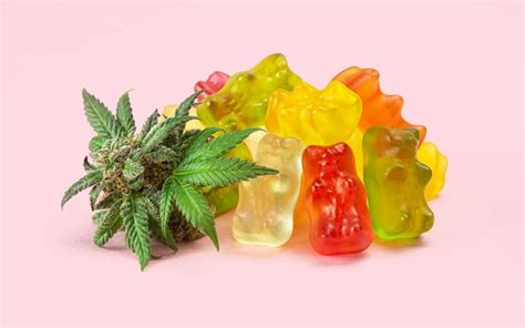 CBD Gummies for Rookies: What You Will need to Know - Carlos Sousa