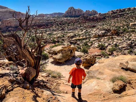 The Best Hike in Capitol Reef National Park - Family Can Travel