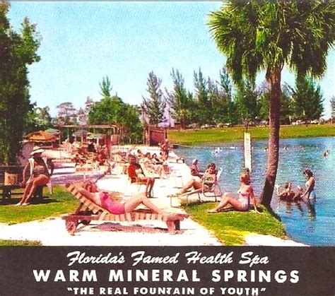 Warm Mineral Springs: Recapture Your Youth