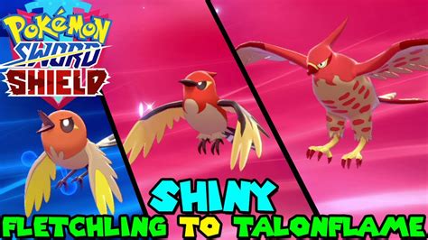 Evolving SHINY FLETCHLING to SHINY TALONFLAME in Pokemon Sword & Shield ...