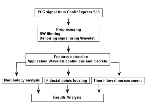 Process flow chart for ECG signal features extraction. | Download ...