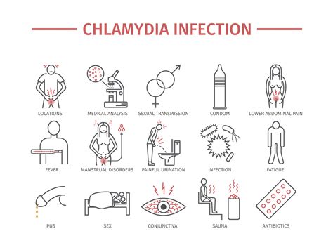 Chlamydia Symptoms, Pictures, Treatment | STD Chlamydia