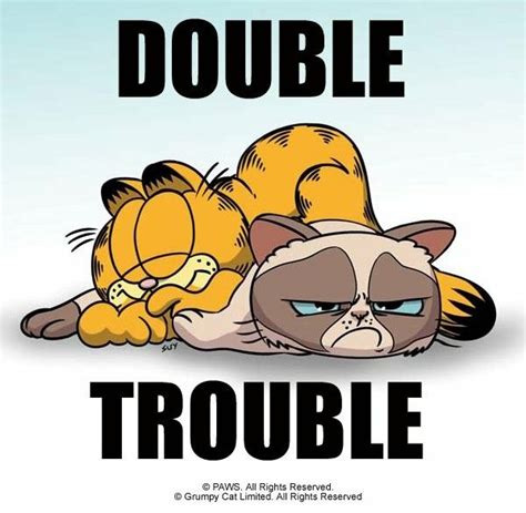 Garfield et Grumpy Cat | Grumpy cat, Grumpy cat meme, Garfield and odie