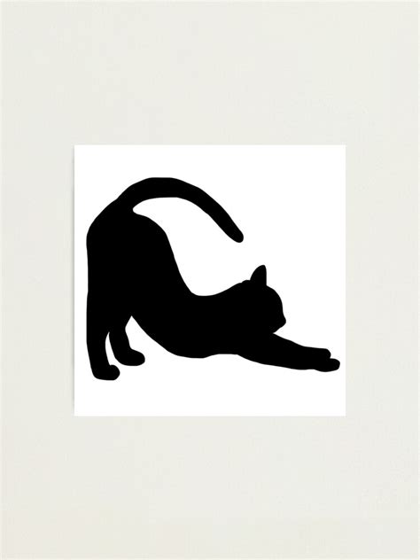 "Cat stretching silhouette " Photographic Print by TheNewAmericana | Redbubble