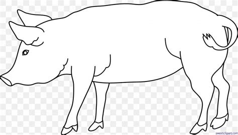 Clip Art Domestic Pig Black And White Image, PNG, 6363x3636px, Pig ...