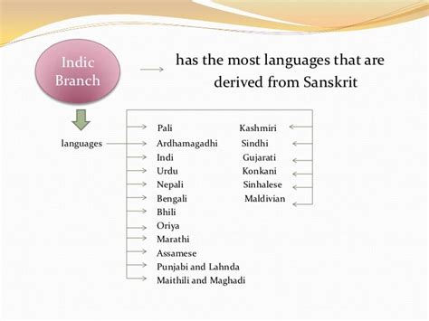 Language families and branches