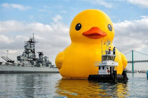 The Giant Rubber Ducky Is Coming to Fort Worth!!!! : r/FortWorth