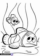Finding Nemo coloring Pages  Bestcoloringpagesnet sketch template