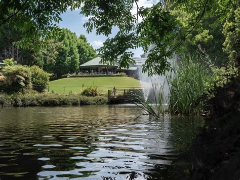 Mt Tamborine Restaurant - Cedar Creek Estate