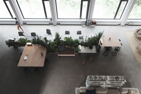 The best way to fix your open plan office? Plants, and lots of them ...