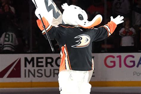 Wild Wing, the Anaheim Ducks Mascot: Everything You Need to Know - The ...