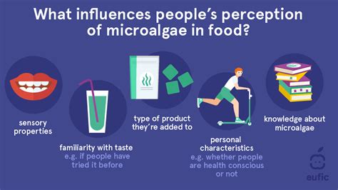 Microalgae: producing new food products that consumers accept | Eufic