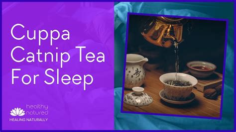 Catnip Tea For Natural Sleep - Cure Insomnia Naturally With Herbs - YouTube