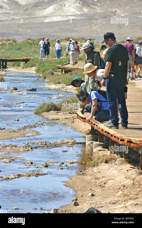 Pupfish habitat in death valley hi-res stock photography and images - Alamy