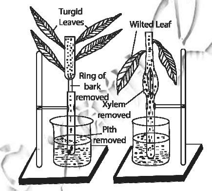 Identify which of the reactions is the pathways depicted above is taking place in each ...