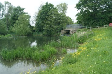 View of the flood gates from the meadows near the croft 2016 | Sudbury, Sudbury suffolk, Suffolk