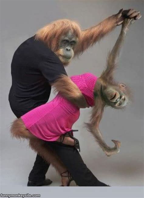 Dancing - Funny Monkey Pictures