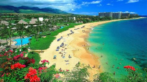 The Top-Rated Tourist Attractions in Maui, Hawaii - PMCAOnline