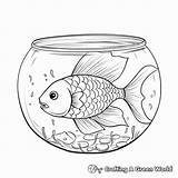 Fish Bowl Coloring Pages  Free & Printable sketch template