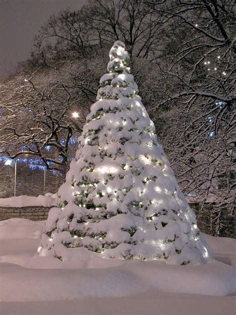 Stunning Views: Snowy Christmas Tree