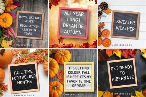 150 + Best Fall Letter Board Quotes