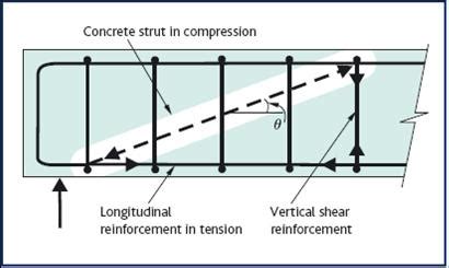 Shear