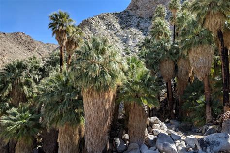 The 14 best desert hikes in Southern California - Los Angeles Times