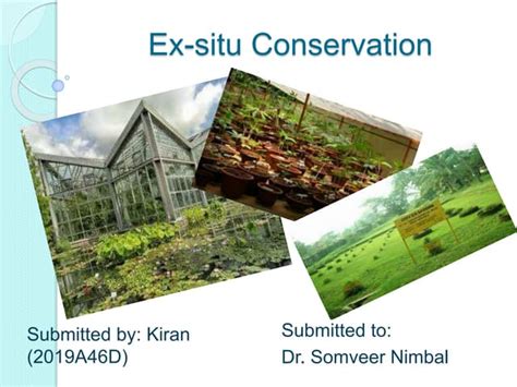 Ex situ conservation | PPT