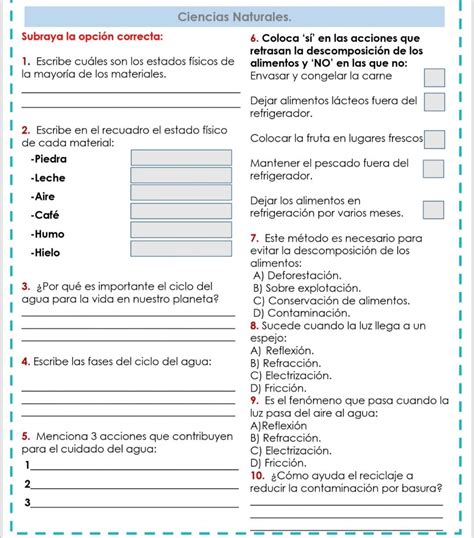 Evaluación de ciencias naturales cuarto grado Thing 1, Templates, Fifth Grade, Room