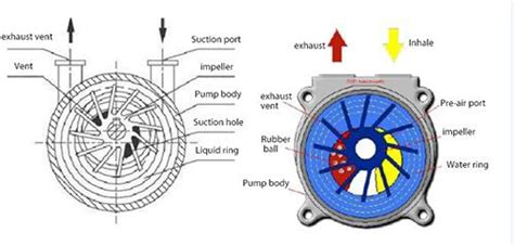 Liquid ring vacuum pump working principle- Vacuum Pump - EVP Vacuum ...