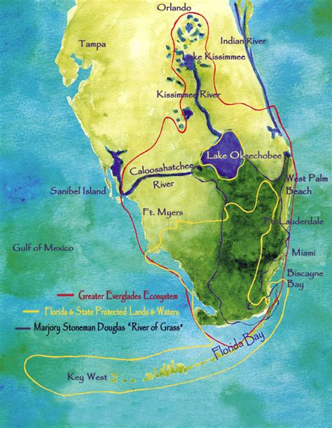 Awesome Things to Do in the Everglades, Florida's River of Grass ...