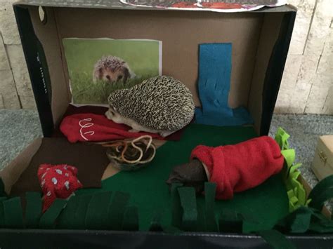 Hedgehog habitat for bigger hogs! Made by my 5 year old almost by herself whilst consulting a ...