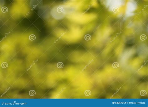 Nature Green and Yellow Abstract Bokeh Background Stock Photo - Image ...