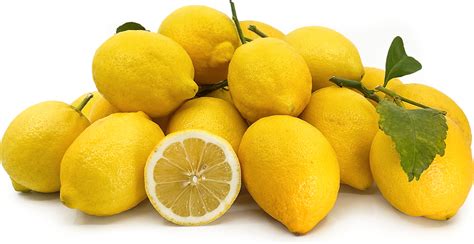 Amalfi Coast Lemons Information and Facts