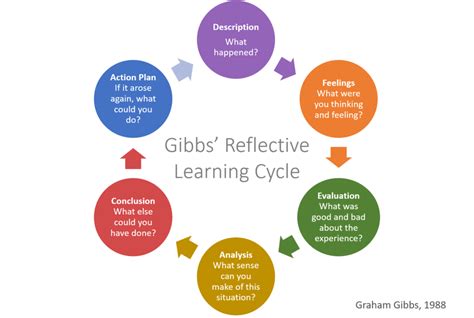 Gibbs Reflective Cycle - Assignment Help Australia