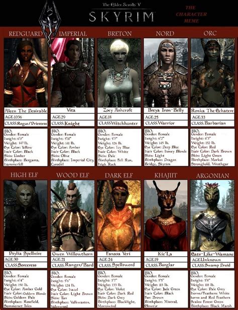 Skyrim Characters by MysterioStranger on DeviantArt