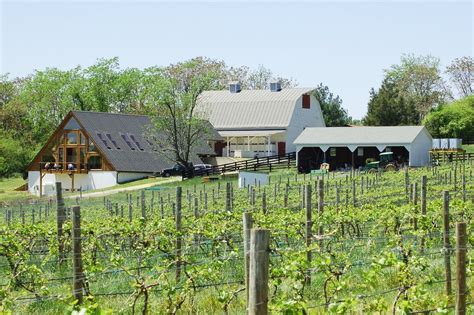 Visit — Blenheim Vineyards