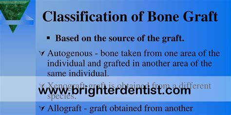 Types of Bone Grafts - Brighter Dentist