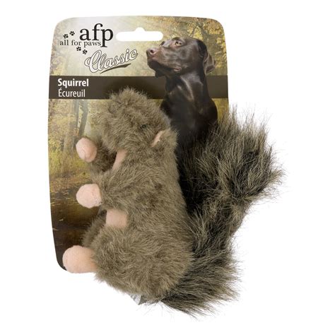 All For Paws Classic Squeaky Soft Squirrel Dog Toy - Walmart.com