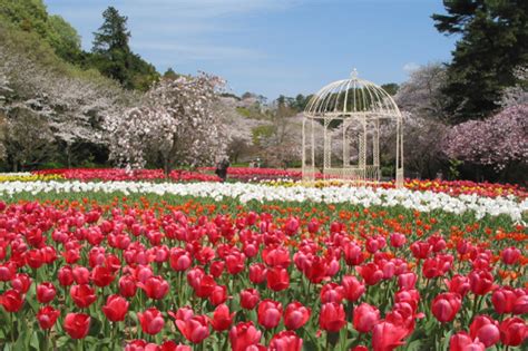 Hamamatsu Flower Park | iN HAMAMATSU.COM