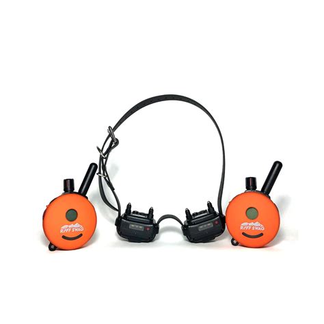 ET-300 Mini Educator E-Collar 2 Remote 2 Collar System – Ruff Swag