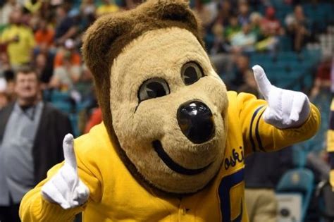 CAPGOWN | UC Berkeley | Oski the Bear | Doctoral Students | Doctoral ...