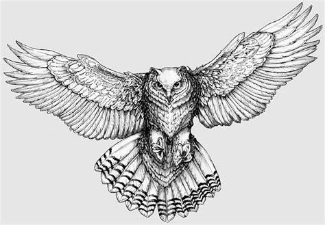 Drawings For Tattoos, owl Drawing, LA Ink, five Dots Tattoo, owl Tattoo ...